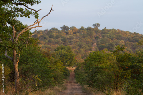 africa landscape in the kruger park north part of it