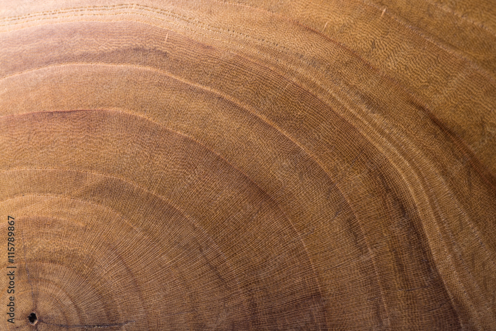 Naklejka premium wood background. wood background. wood texture. wood texture. apricot