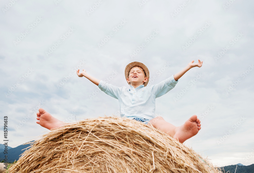 Happy smiling boy sits astride on the haystack Happy smiling boy sits astride on the haystack