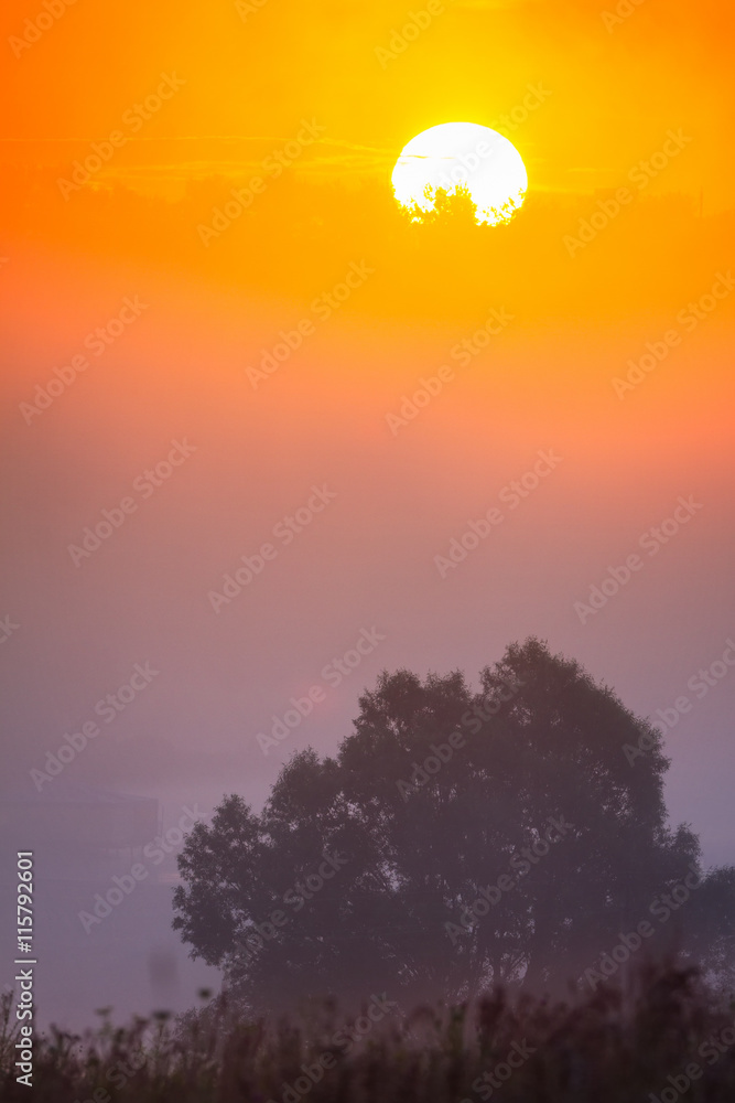 Obraz premium The misty Morning and Gradients