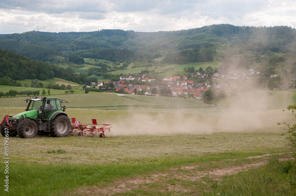 Fototapeta premium Heuwenden auf dem Weideland von Roßbach bei Witzenhausen am Kaufunger Wald 