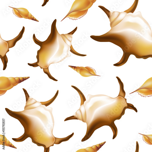 Shells on white background. Seamless. Vector illustration.