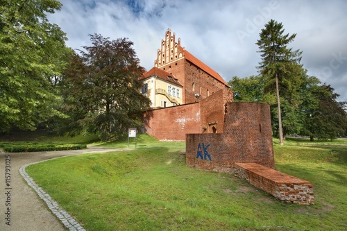 Castle in Olsztyn