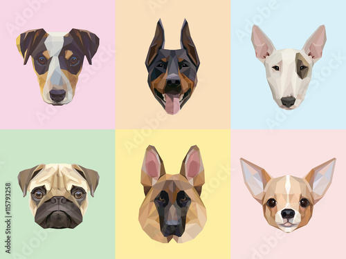 Dog breeds portraits vector illustrations in geometric style