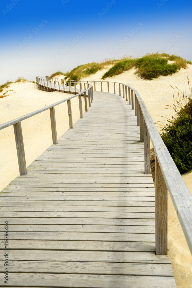 wooden walkboard on beach dunes