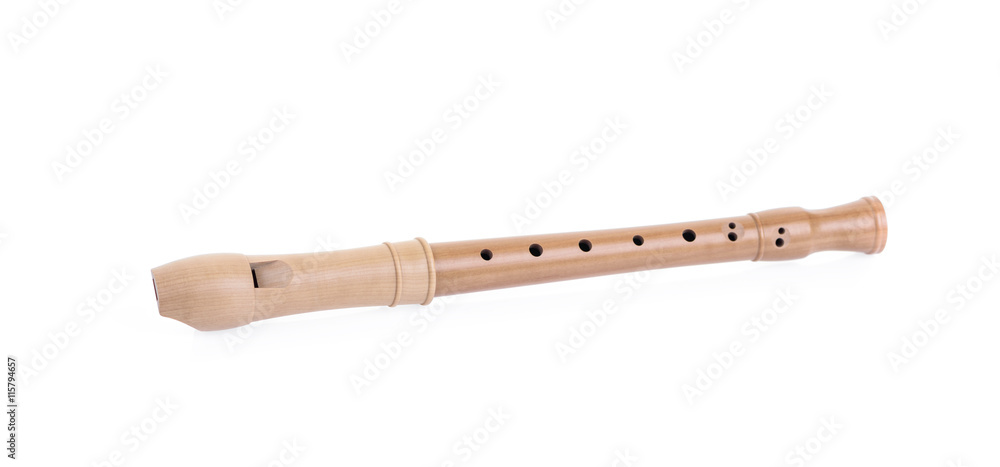 Recorder isolated on white. Recorder isolated on white.