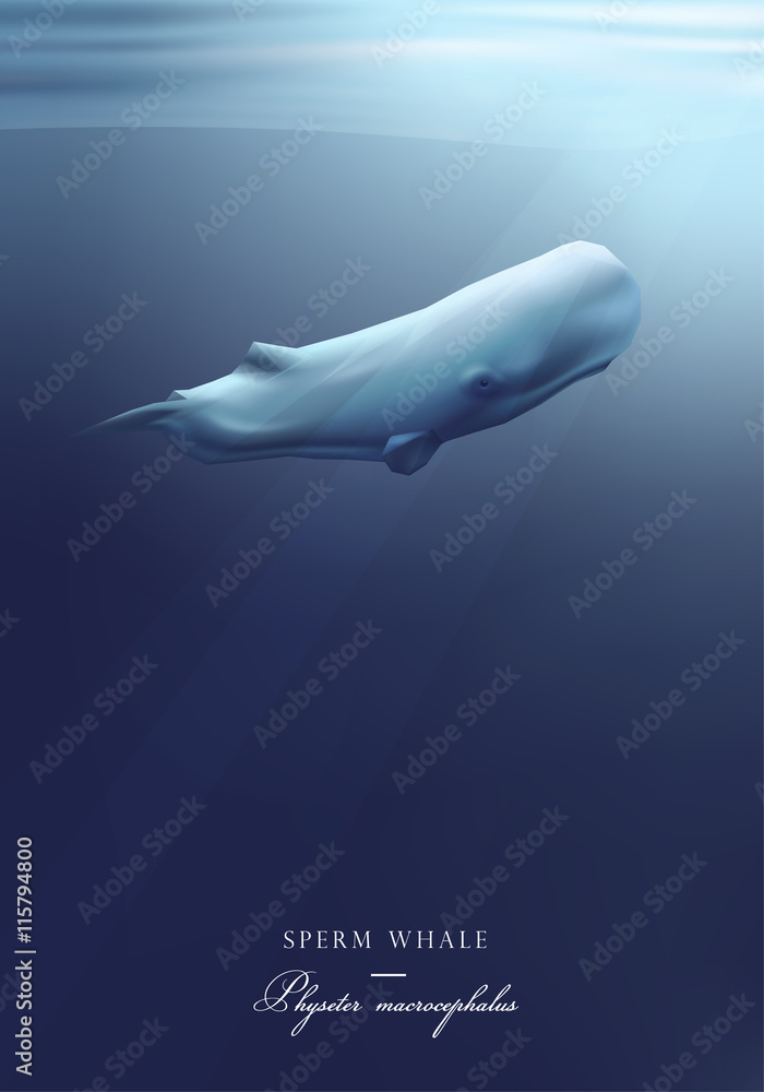 Sperm whale swimming under the ocean surface vector illustration