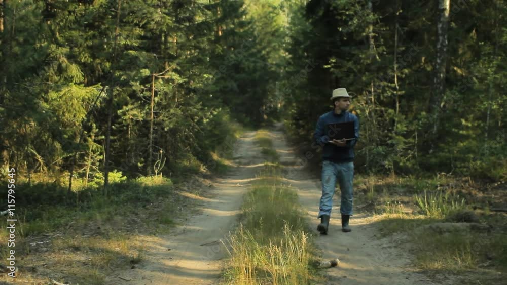 custom made wallpaper toronto digitalA man walks through the forest with a laptop and looking map He chooses the right direction
