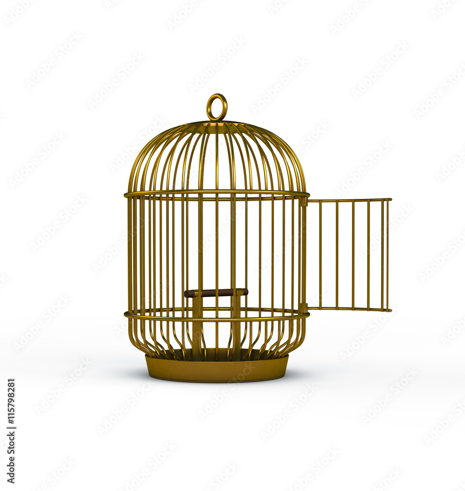 Open birdcage freedom concept Open birdcage freedom concept