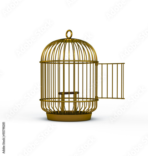 Open birdcage freedom concept