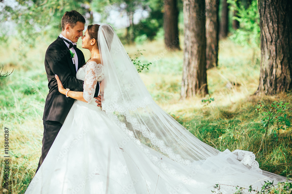 Young wedding couple enjoying romantic moments outside on a summer meadow. Copy space. Pine forest. Green forest are kissing photo portrait. Bride and groom