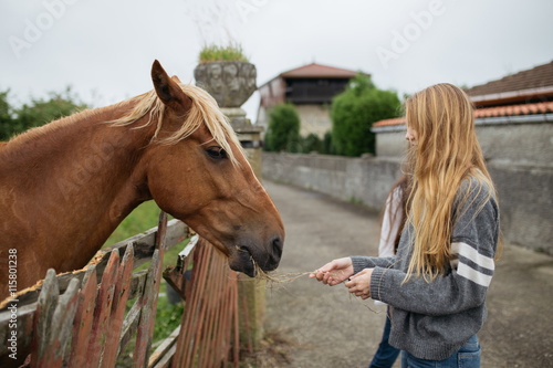 Young blonde girl stroking a brown horse
