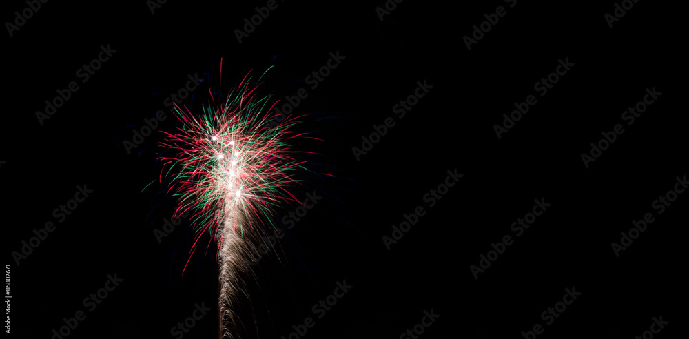 Fototapeta premium Feu d'artifice