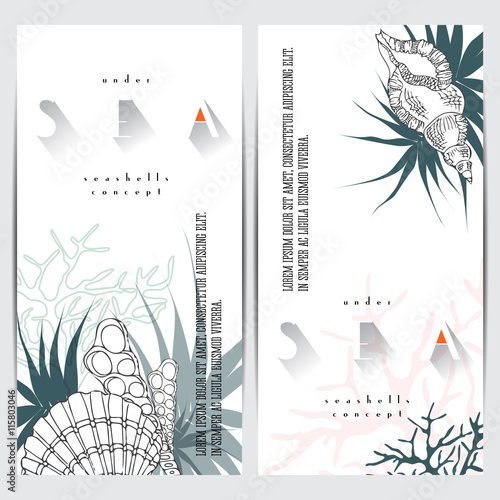 Sea life concept design, seashells vector line art composition with corals, algae and text. Coral reef graphic design card on white background with sea logo.