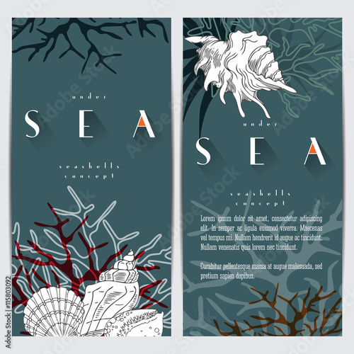 Sea life concept design, seashells vector line art composition with corals, algae and text. Coral reef graphic design card on turquoise background with sea logo.