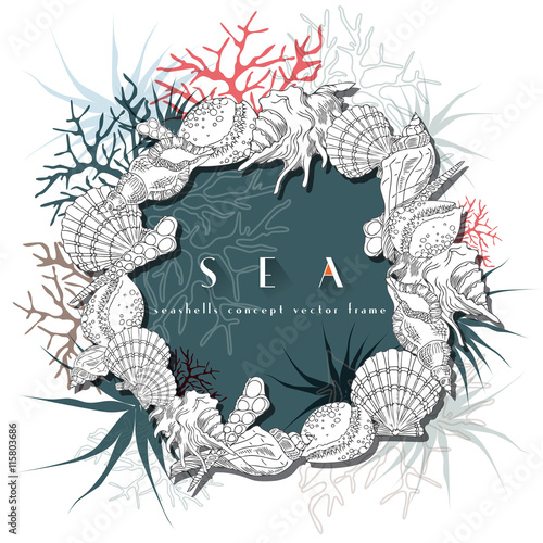 Seashells round frame concept hand drawn vector with algae, corals and plants, underwater life coral reef isolated on turquoise and white background.