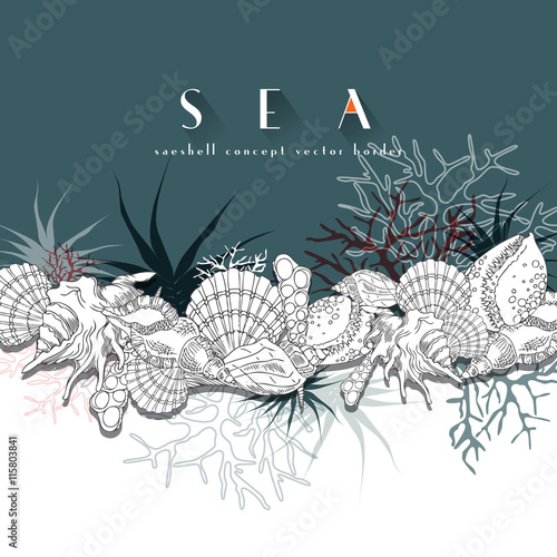 Seashells vector border turquoise concept border. Seashells isolated line art illustration with different corals, algae, sea life and background.