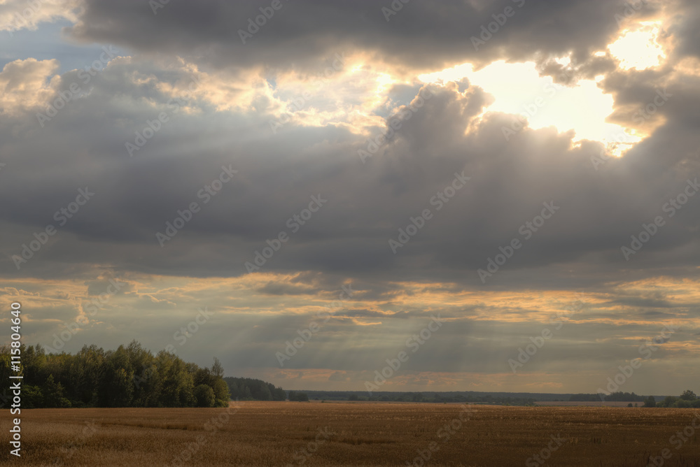 Sunny sky abstract background, beautiful cloudscape, on the heaven, view over white fluffy clouds, freedom concept Sunny sky abstract background, beautiful cloudscape, on the heaven, view over white fluffy clouds, freedom concept