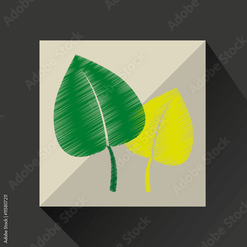 nature leaf green ecology botany