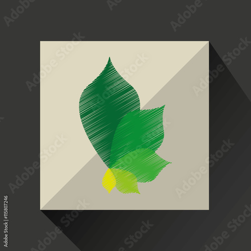 nature leaf green ecology botany