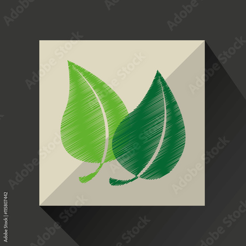 nature leaf green ecology botany