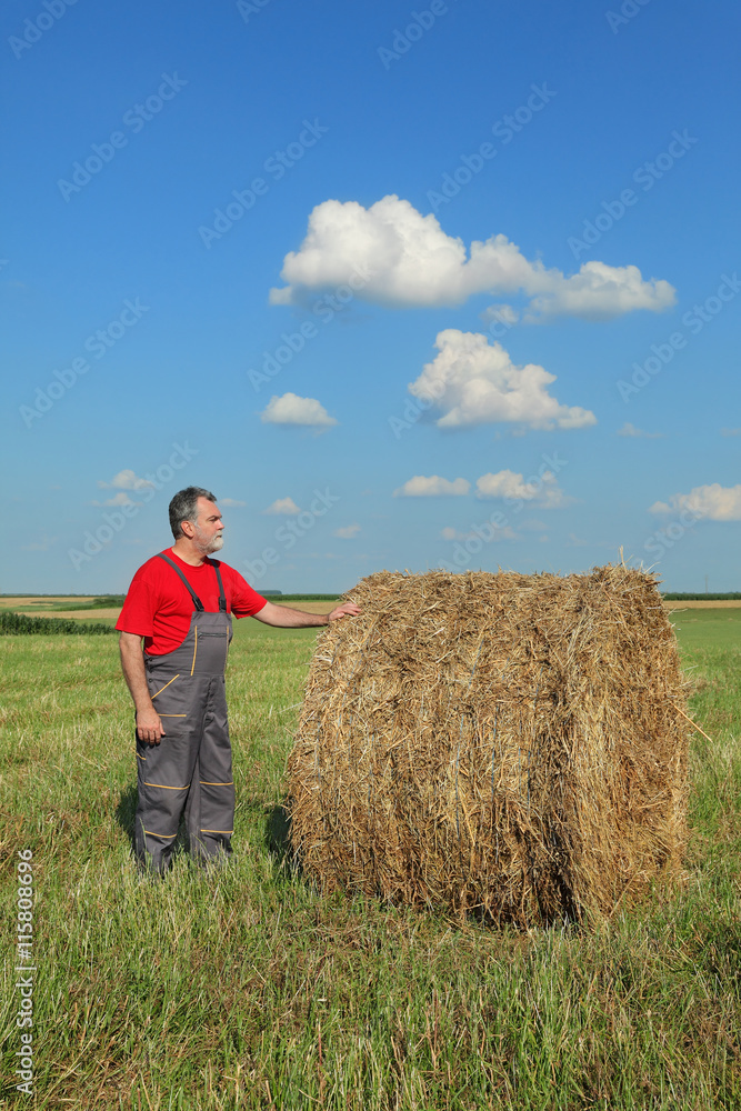 Farmer and bale of hay in field