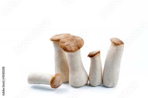 King Oyster mushroom (Eringi) on white backgroud.