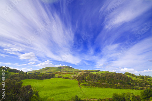 Landscape scenery of green valley with trees, hill and cloudy blue sky