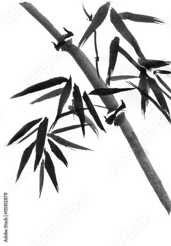 Bamboo trees hand-drawn, ink, Japanese painting style sumi-e. photo