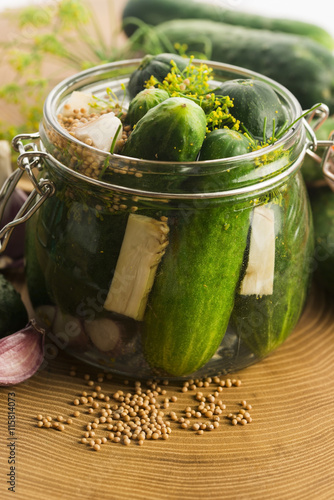 Closeup of fresh pickling cucumbers