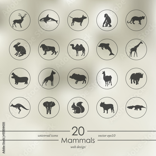 Set of mammals icons