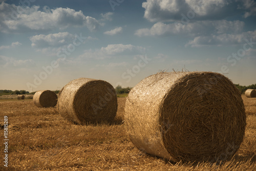 Golden wheat field with hay bales after harvest