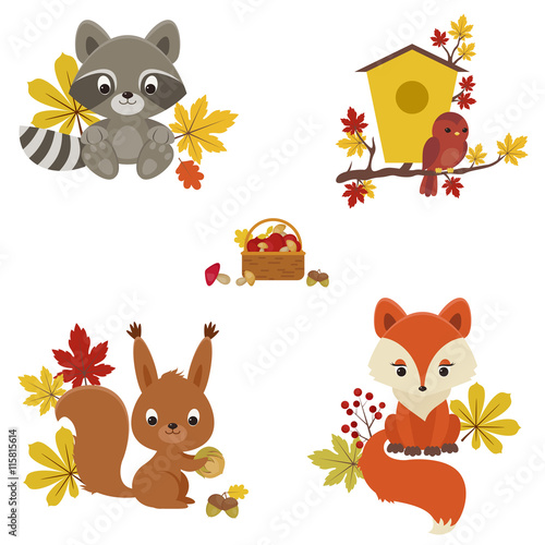 Woodland animals in autumn time.