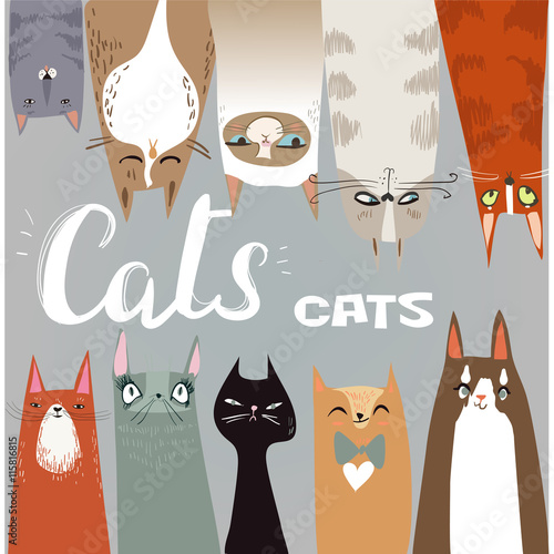 Funny cartoon cats collection