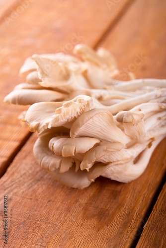 Bunch of fresh Oyster mushroom placed on wooden board