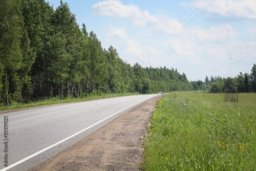 Road and forest along it