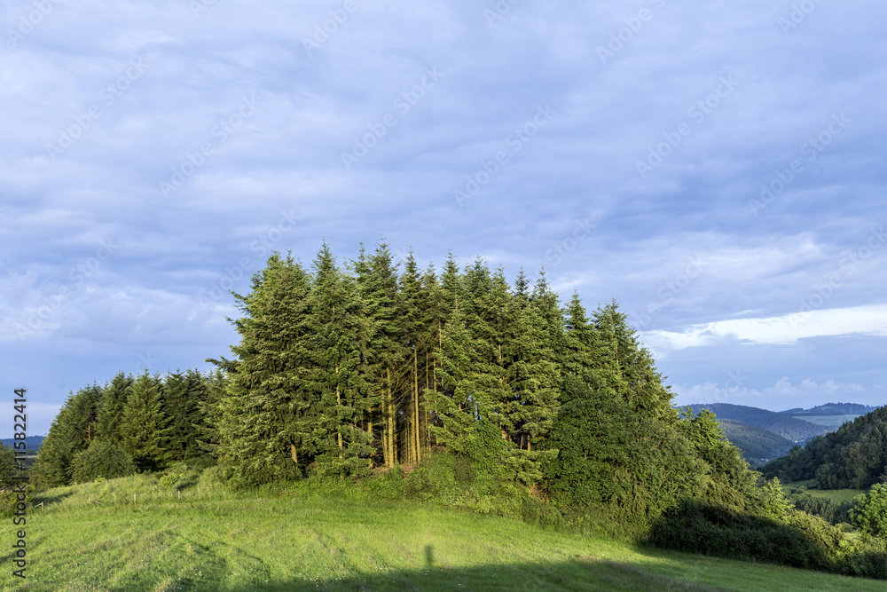 rural Eifel landscape with forest and green meadow rural Eifel landscape with forest and green meadow