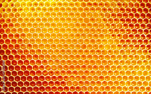Background texture and pattern of honeycomb photo