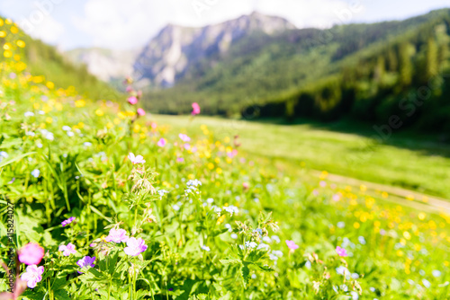 Picturesque Tatra Mountain scenery in the Tatrzanski National Park, Poland. photo