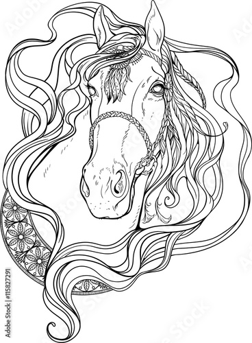 Portrait of a horse decorated with strips and feathers. Coloring