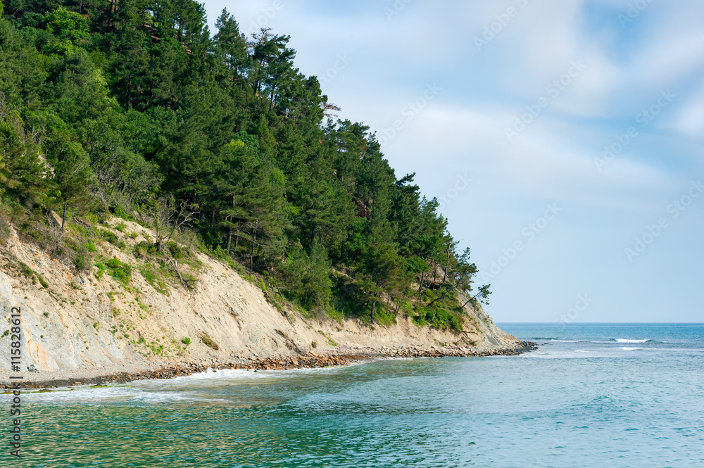 Hill covered by forest meet the sea Hill covered by forest meet the sea