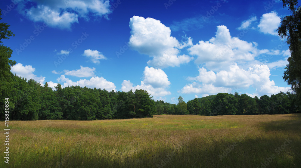 Sunny day near Zahradky village