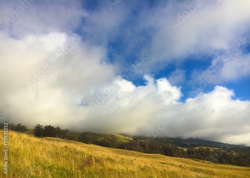 maui volcano pasture © Klint Arnold