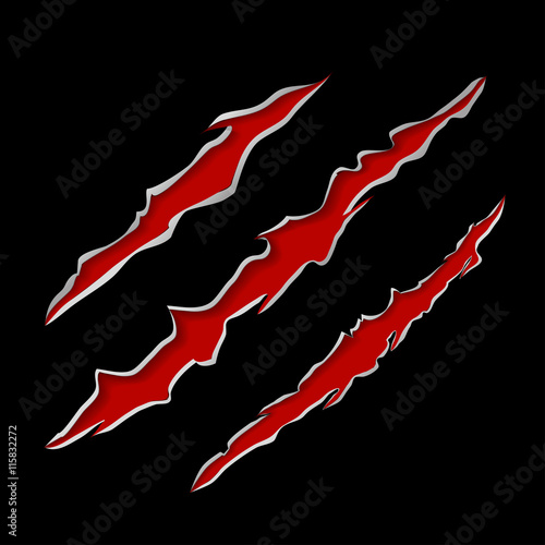 claws scratching animal