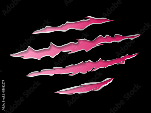 Claws damage metal