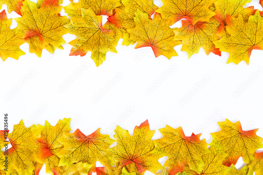 Fototapeta premium Bright yellow maple leaves.