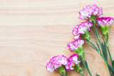 Pink carnations on wooden background