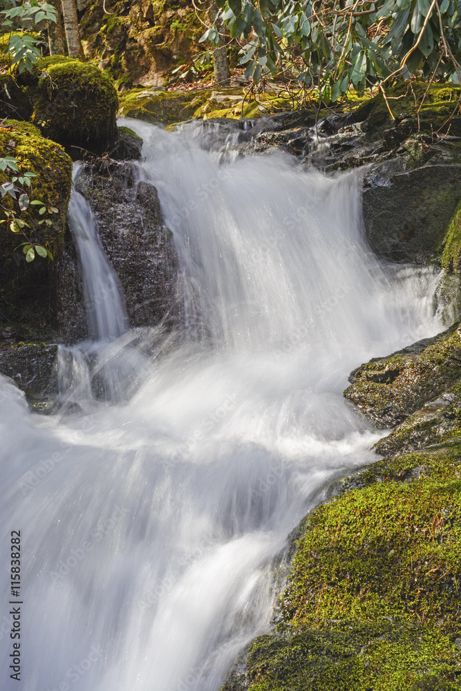 Rushing Cascade in the Mountains