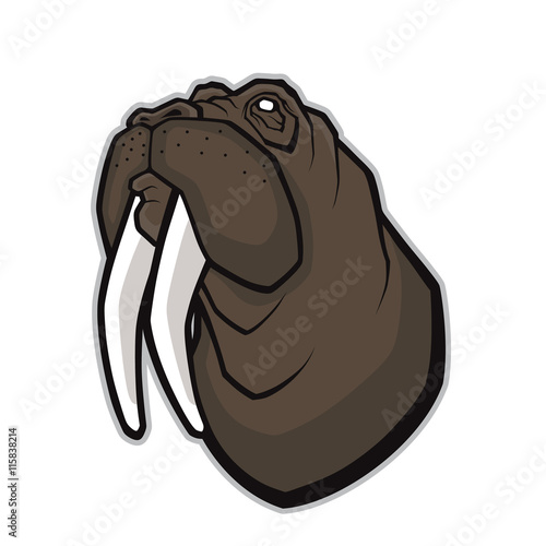 Walrus head mascot