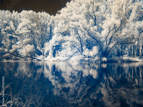 Infrared view at Danube floodplains in Slovakia under summer sky with clouds